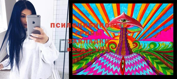 не бодяженный Приозерск
